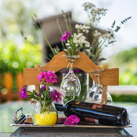 Leonardo House * Novigrad Istria