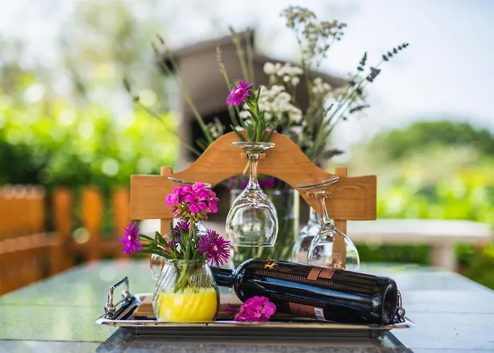 Leonardo House * Novigrad Istria